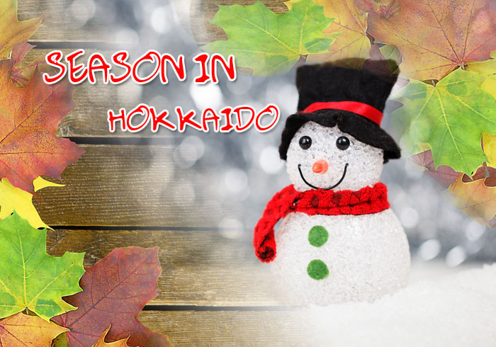Hokkaido เที่ยวฤดูไหนได้บ้าง