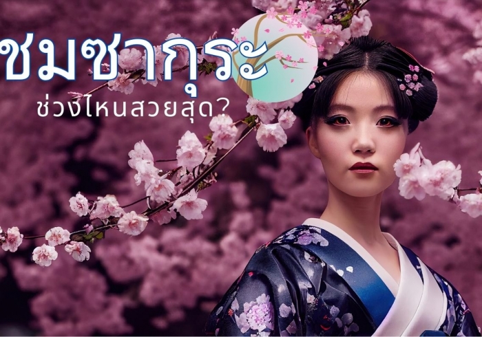 ดอกซากุระ