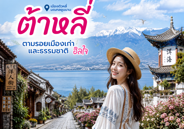 ทัวร์จีนต้าหลี่ ตามรอยเมืองเก่าและธรรมชาติฮีลใจ