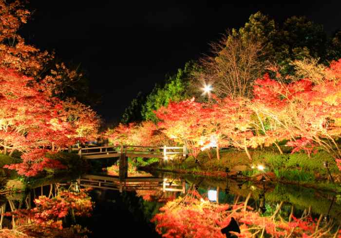 NABANA NO SATO ทัวร์ญี่ปุ่นปีใหม่2024