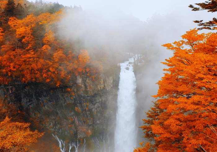 ทัวร์ญี่ปุ่น AJP75-32 TOKYO KUSATSU ONSEN AUTUMN (281166)