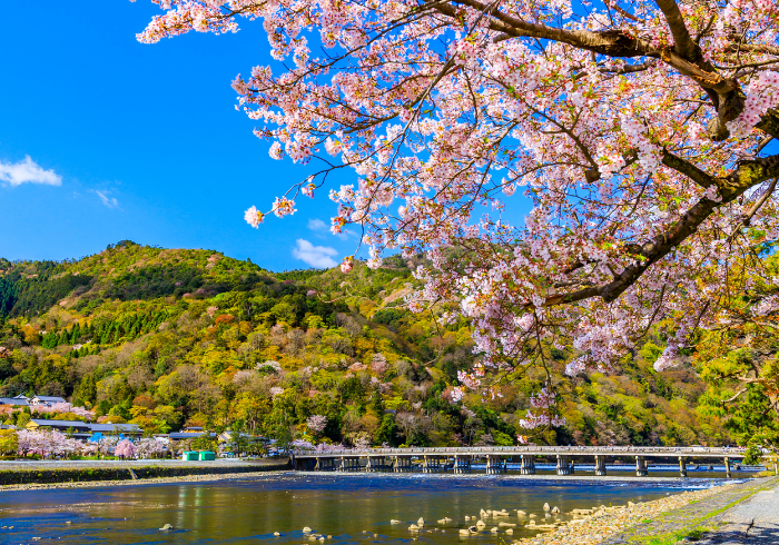 ทัวร์ญี่ปุ่นAJP68-03  OSAKA KYOTO SHIRAKAWA GO (300566)