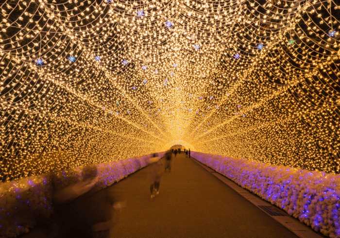 สวนดอกไม้นาบานะโนะซาโตะ