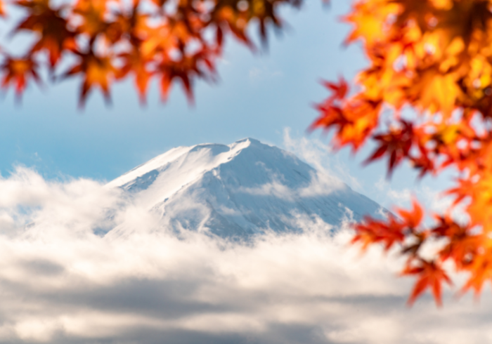 ภูเขาไฟฟูจิ ทัวร์ญี่ปุ่น2565/2022