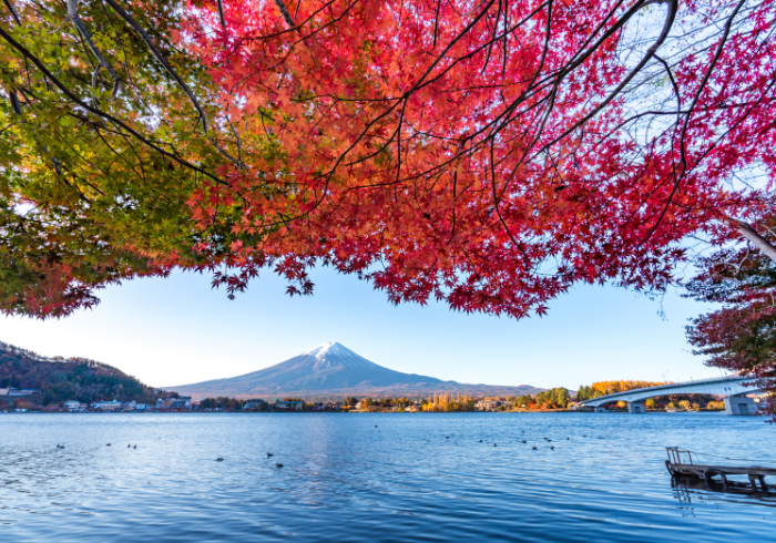 ภูเขาไฟฟูจิ ทัวร์โตเกียวใบไม้เปลี่ยนสี2565