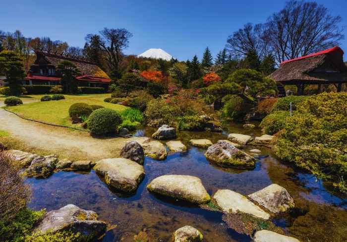 ทัวร์ญี่ปุ่น AJP68-04 TOKYO FUJI KAWAGOE FREE DAY JUL-SEP (24966)