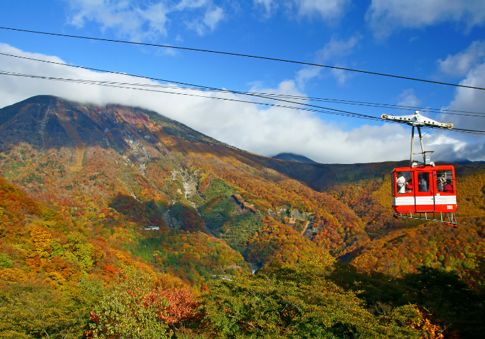 ทัวร์ญี่ปุ่น AJP76-04 AUTUMN TOKYO NIKKO KAWAGOE SHIBAMATA  (191066)