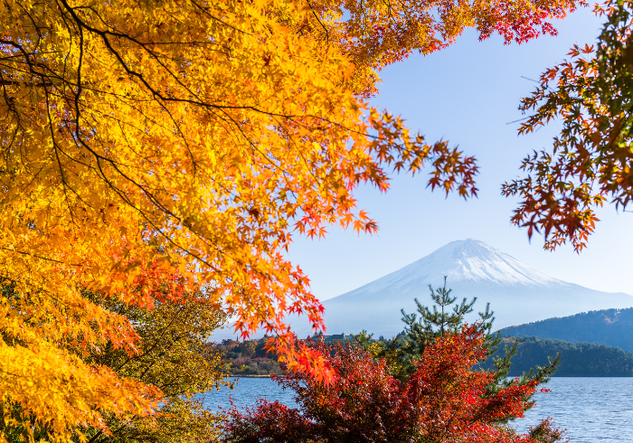 ทัวร์ญี่ปุ่น AJP68-14 TOKYO OSAKA KAMIKOCHI TAKAYAMA (111066)