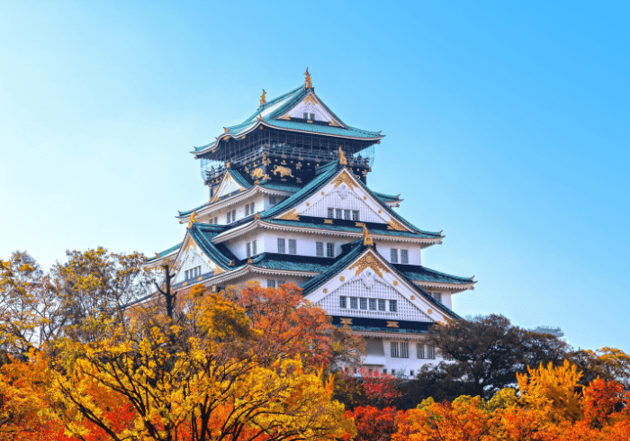 ทัวร์ญี่ปุ่น AJP61-09 JAPAN TOP ROUTE TOKYO FUJI KYOTO OSAKA(221166)   