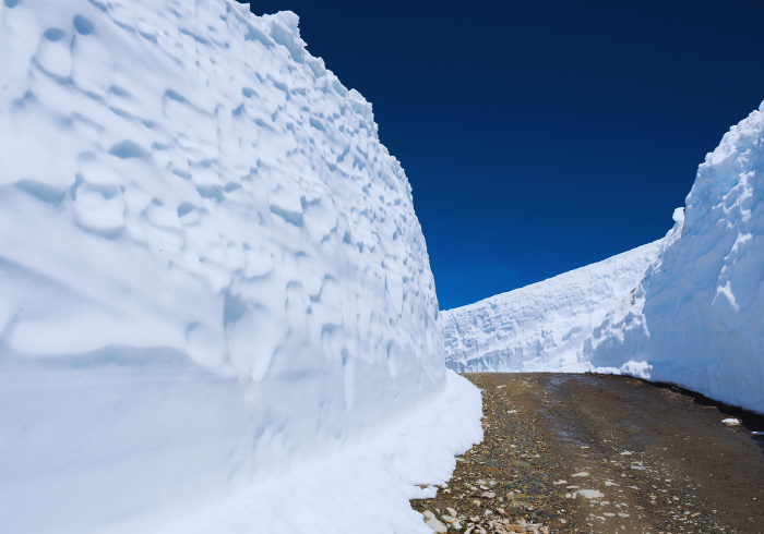 SNOW WALL ทัวร์ทาคายาม่า2023