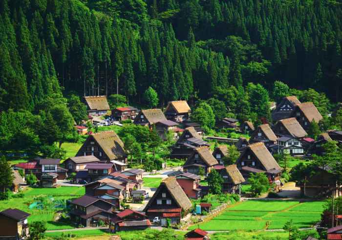 หมู่บ้านมรดกโลกชิราคาวาโกะ ทัวร์ญี่ปุ่น2024