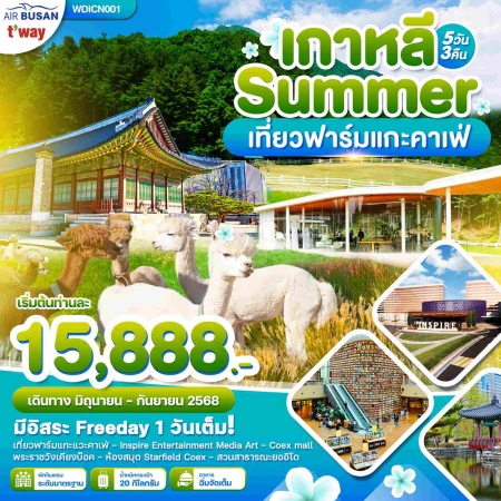 ทัวร์เกาหลี AKR09-02 เกาหลี Summer เที่ยวฟาร์มแกะ Jun-Sep2025 (240968)