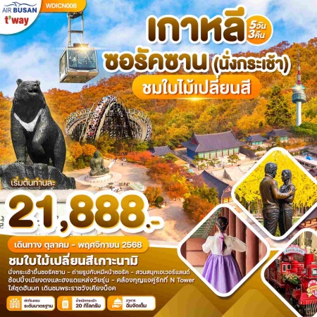 ทัวร์เกาหลี AKR09-09 Wonder Korea โซล ใบไม้เปลี่ยนสี เกาะนามิ อุทยานซอรัคซาน (281168)