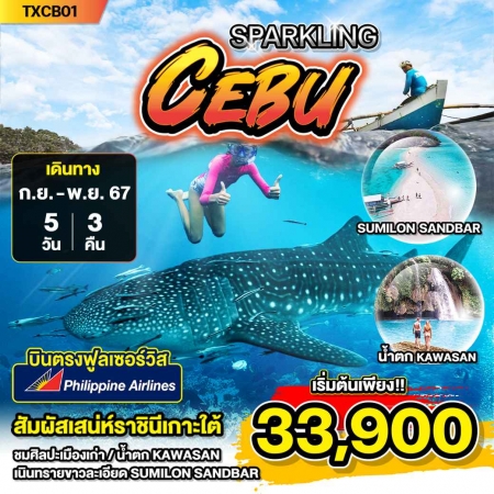 ทัวร์ฟิลิปปินส์ APR51-01 Sparkling Cebu  (261167)