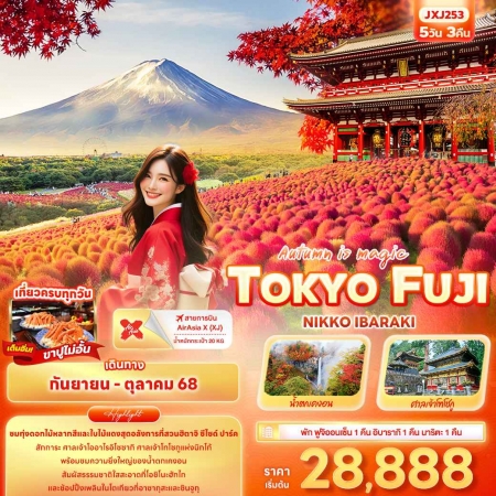 ทัวร์ญี่ปุ่น  AJP72-21 Autumn is magic TOKYO FUJI NIKO IBARAKI XJ253 (261068)